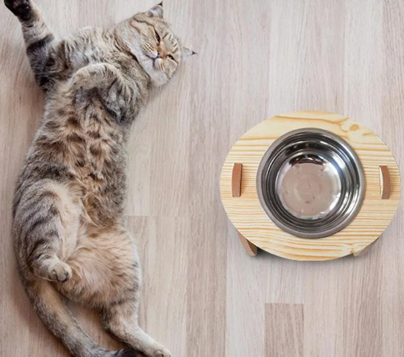 15°Cervical Spine Wooden Bowl Holder Double Bowl for Pet Feeding and Drinking