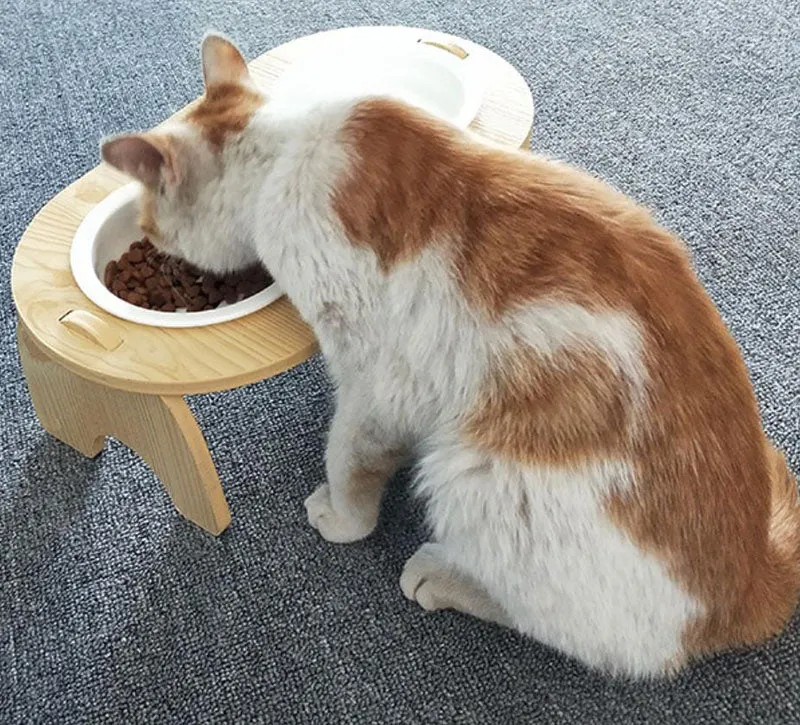 15°Cervical Spine Wooden Bowl Holder Double Bowl for Pet Feeding and Drinking