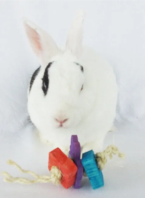 3 pc Fling Rabbit Toy