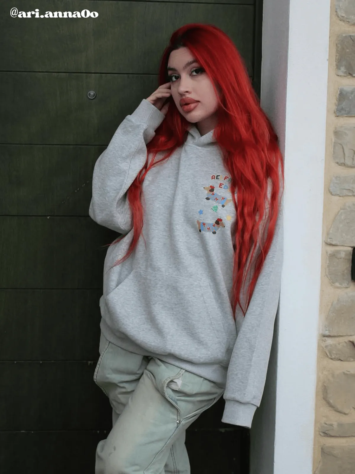 Aelfric Eden Cartoon Dachshund Print Hoodie