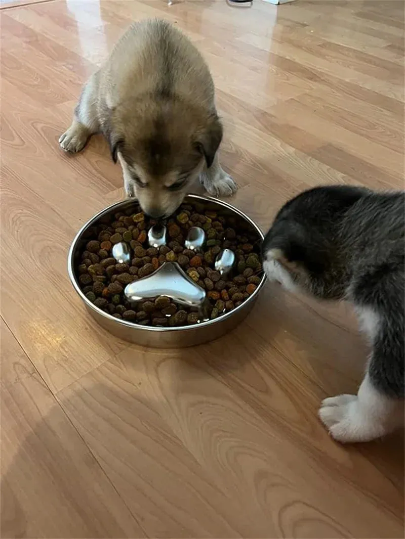 Anti-Choking Slow Feeder Dog Bowl in Stainless Steel