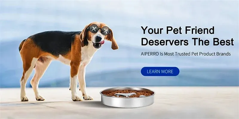 Anti-Choking Slow Feeder Dog Bowl in Stainless Steel