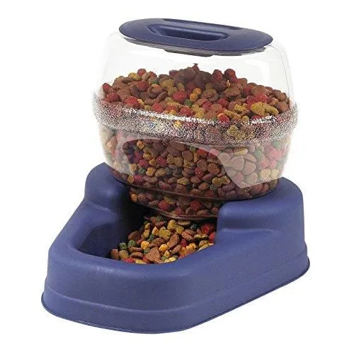 Bergan Petite Gourmet Feeder Combo (Assorted)