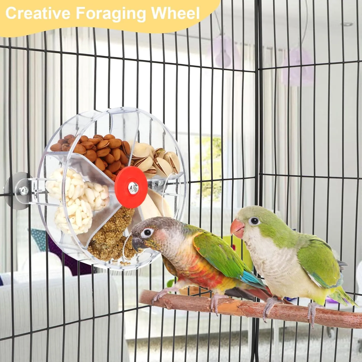 Bird Creative Foraging System Wheel Seed Food Ball Rotate Training Toy for Small and Medium Parrots Parakeet Cockatiel Conure (Clear)
