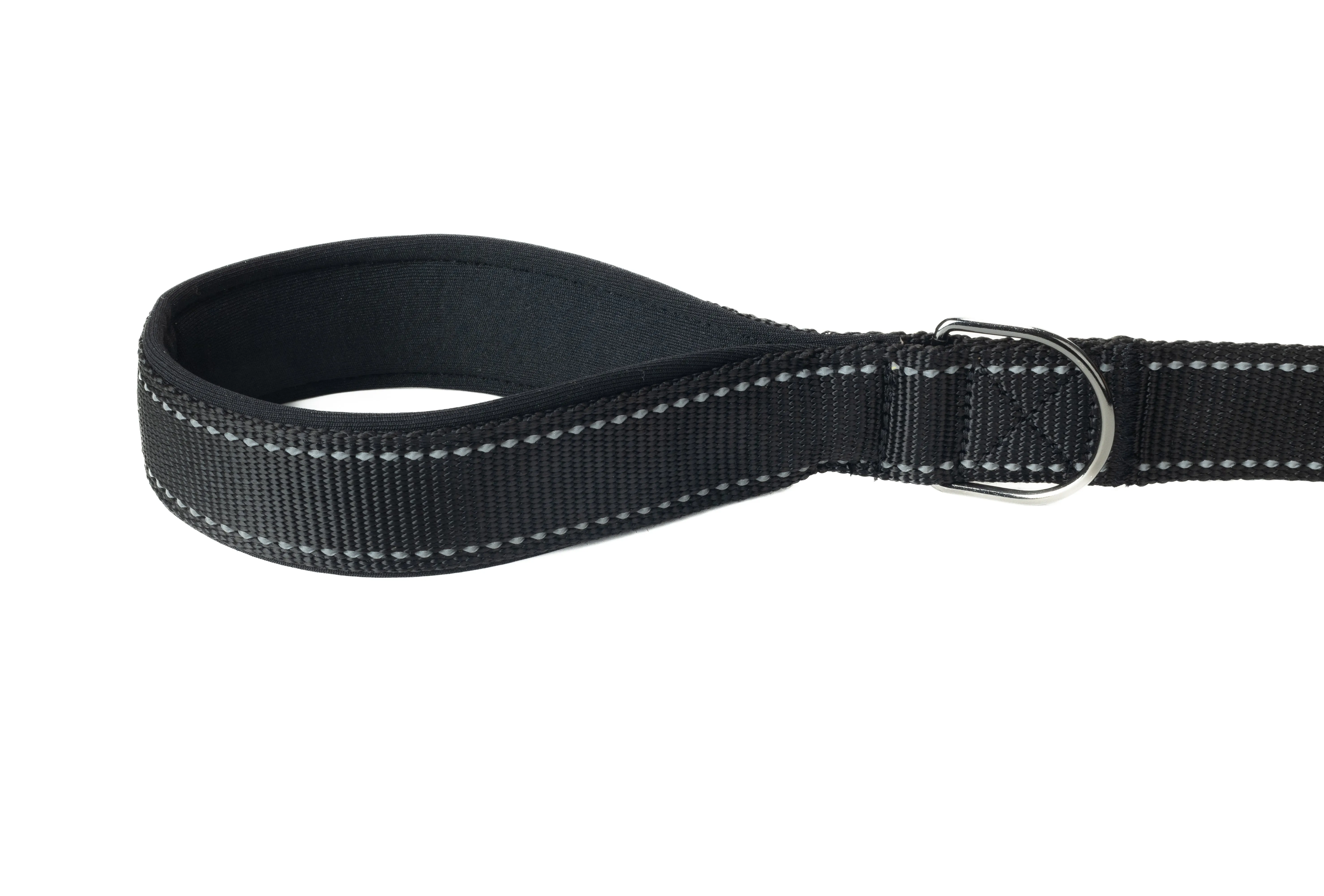 Black Flat Nylon Dog Leash