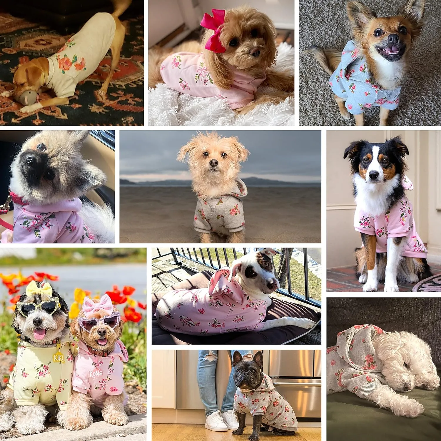 Blueberry Pet Dog Hoodie Stylish Grey Daisy Flower Pullover 10", Small Dog Sweatshirt, XS Dog Hoodie, Award-Winning Dog Sweater, Stylish Grey Dog Jersey for Boys, Small Sized Dog Clothes, Happy Hoodie