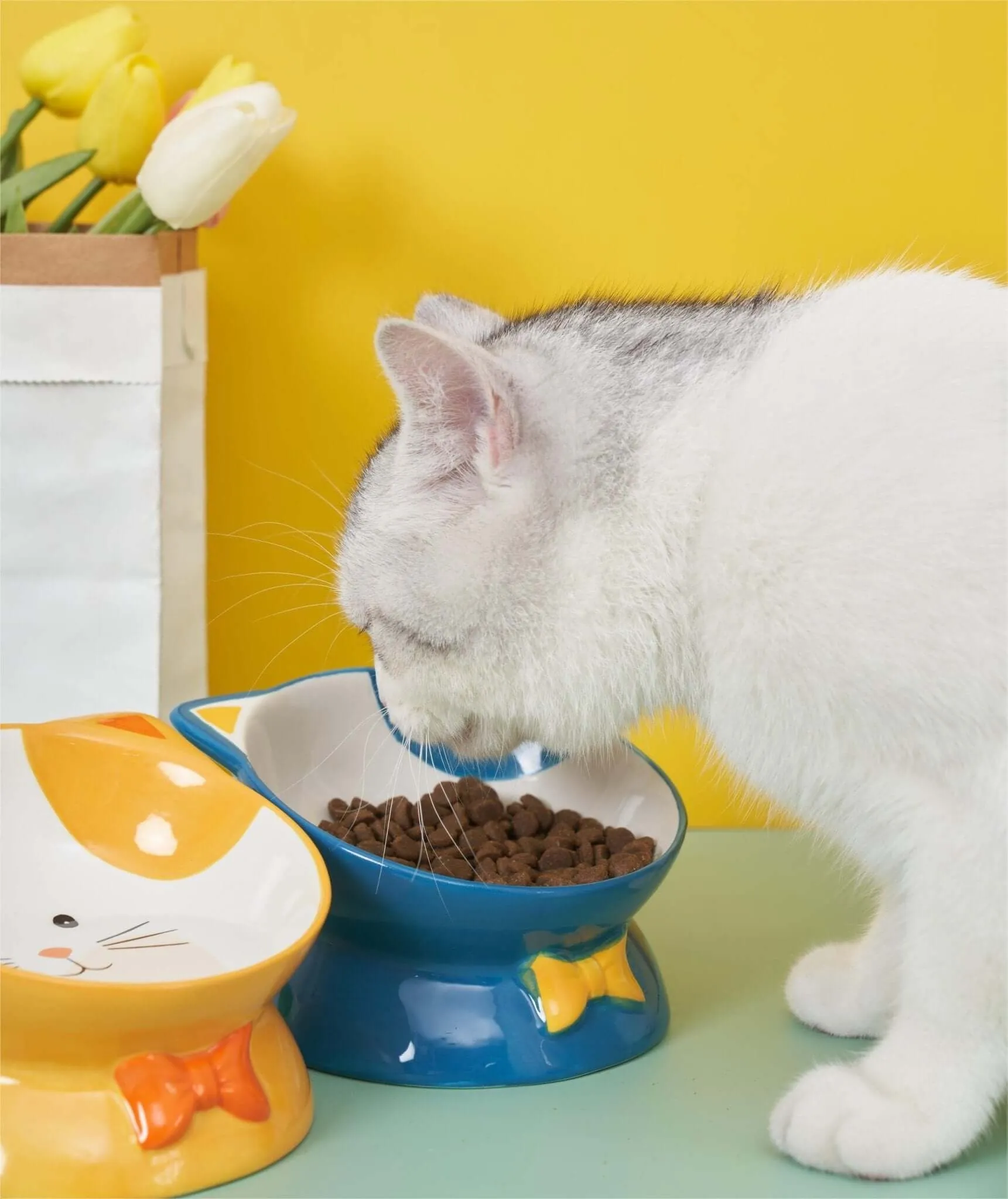 Cartoon Print Elevated Bowl For Cat Or Dog