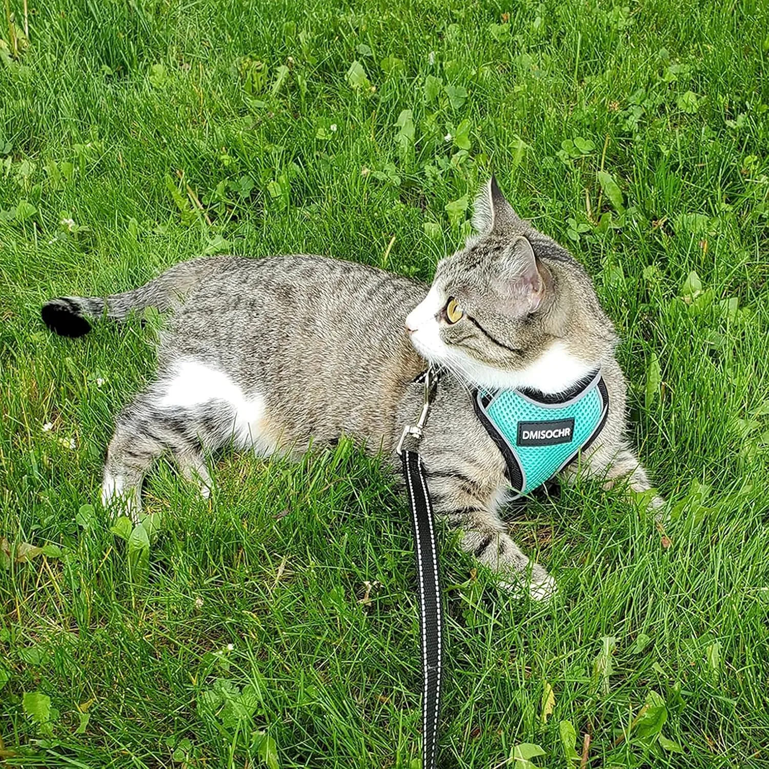 Cat Harness and Leash Set for Walking Escape Proof - Reflective Adjustable Cat Vest Harness for Small to Large Cat Puppy - Cute Mesh Breathable Soft Cat Full Body Harness