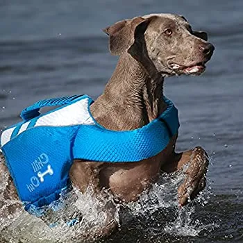 Chill Out Life jacket for Dogs