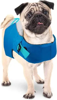 Chill Out Life jacket for Dogs