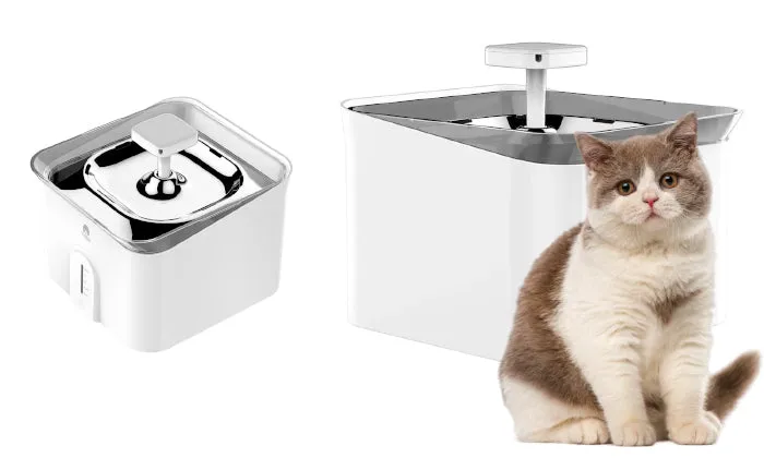 Coco Pet Water Fountain - Rex