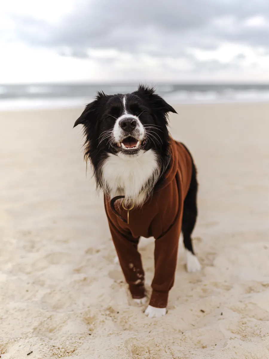 Cocoa Hoodie