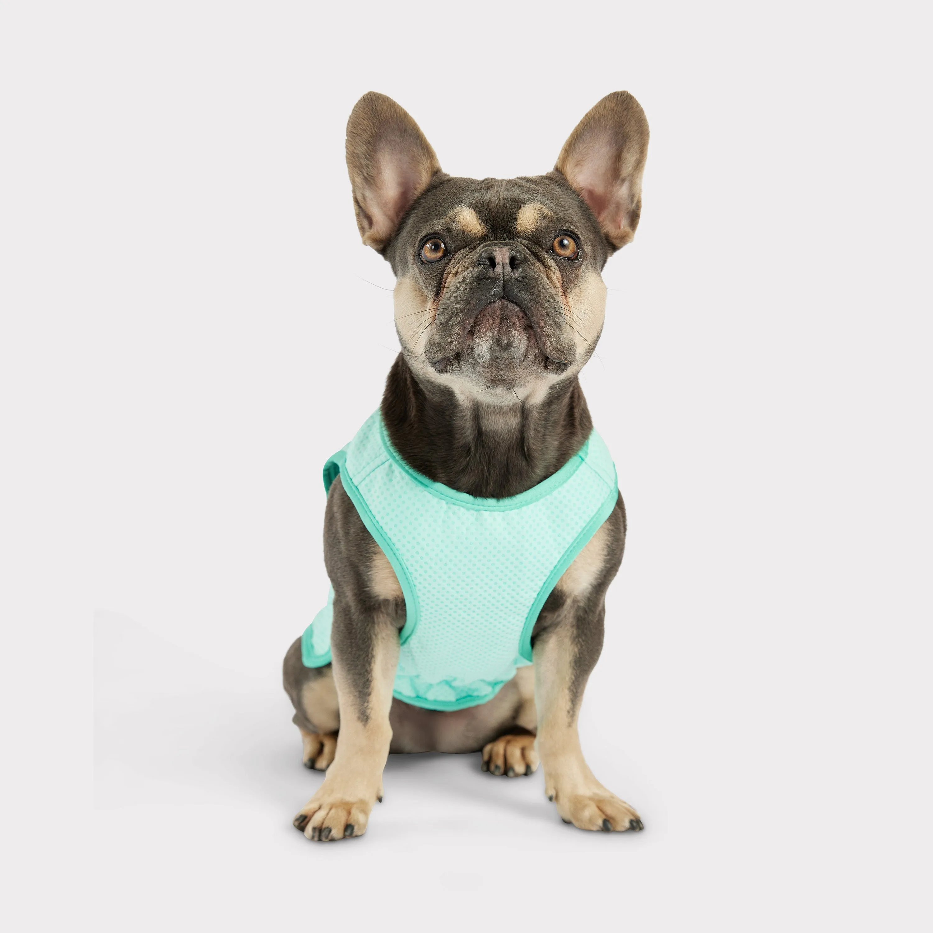 cooling aqua ice vest - fits 6 lbs to 140 lbs