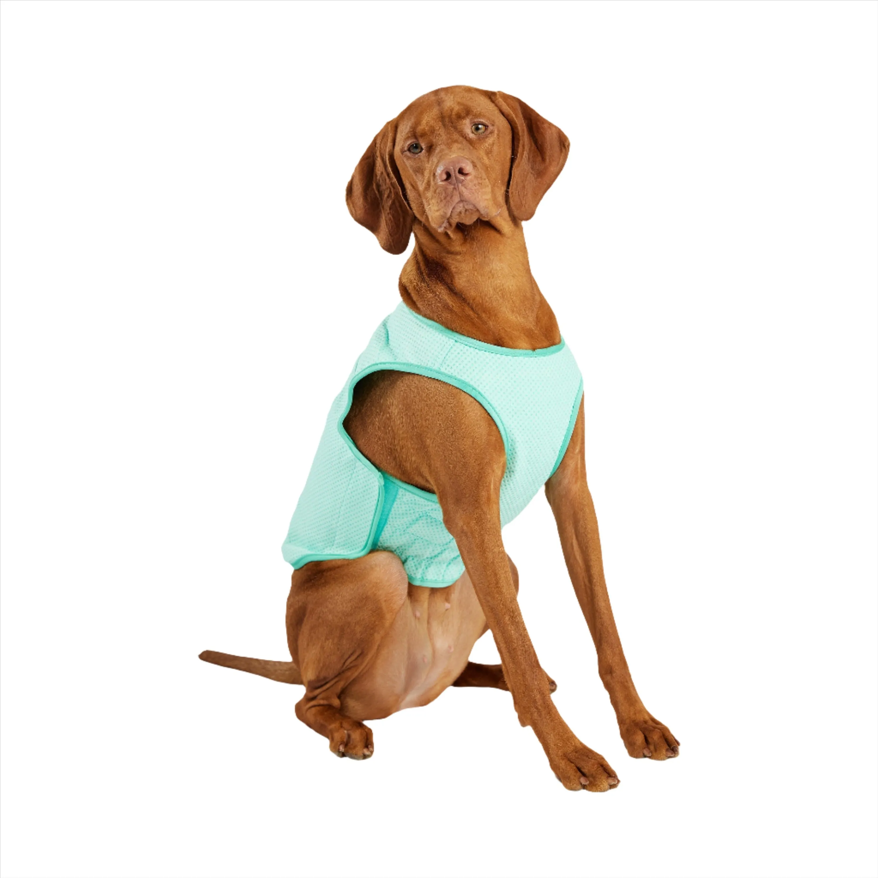 cooling aqua ice vest - fits 6 lbs to 140 lbs
