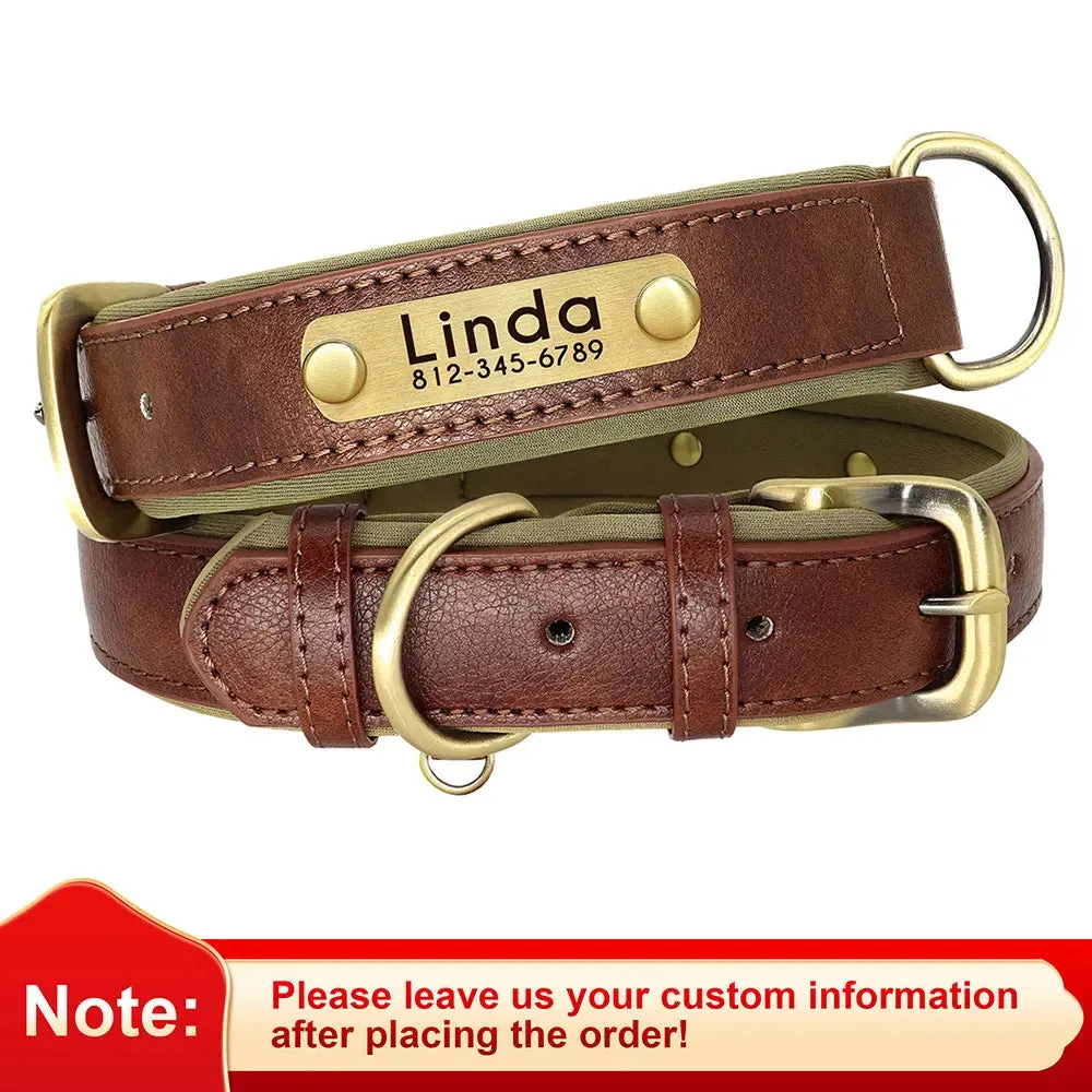 Custom Leather ID Nameplate Collar Soft Padded Comfort Adjustable with FREE Name Engraving Perfect for Small Medium Large Cats and Dogs