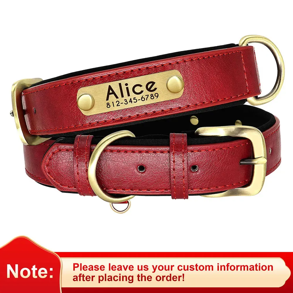 Custom Leather ID Nameplate Collar Soft Padded Comfort Adjustable with FREE Name Engraving Perfect for Small Medium Large Cats and Dogs