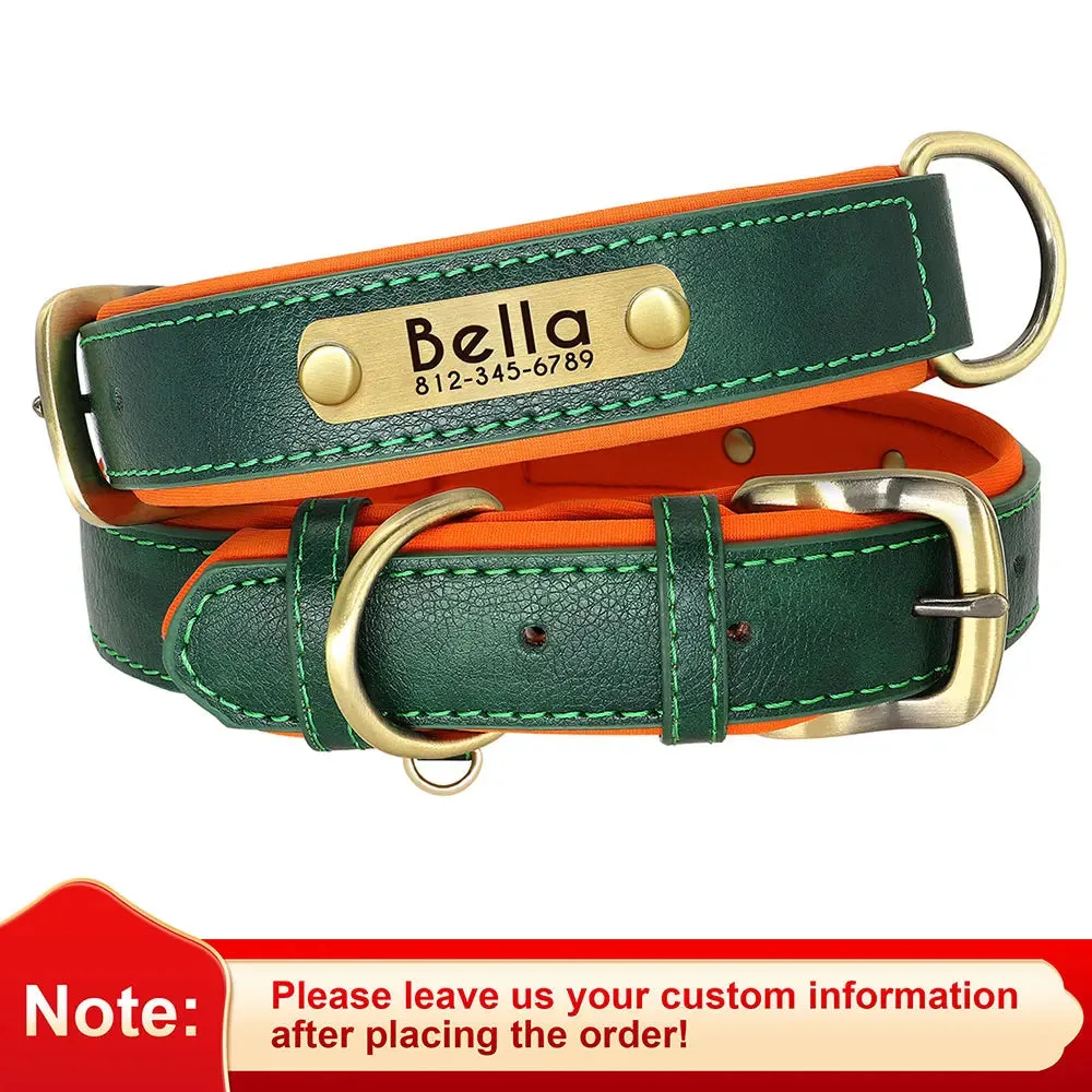 Custom Leather ID Nameplate Collar Soft Padded Comfort Adjustable with FREE Name Engraving Perfect for Small Medium Large Cats and Dogs