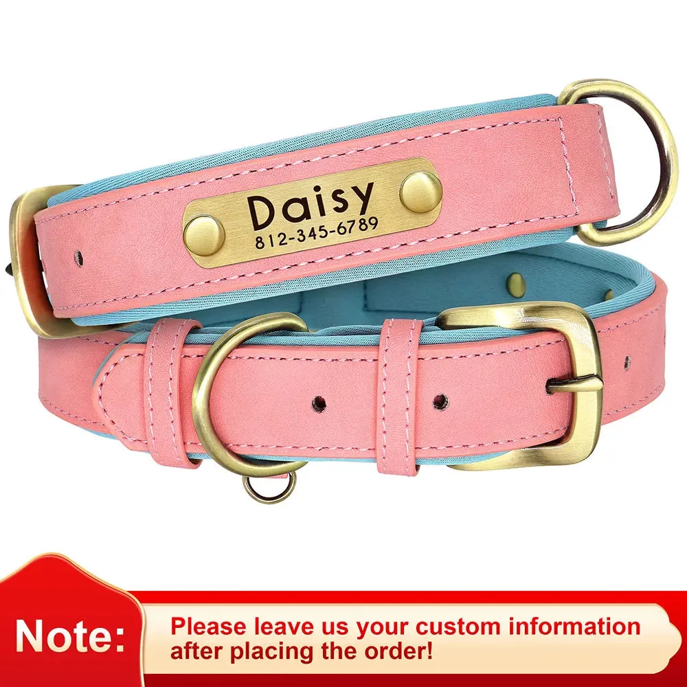 Custom Leather ID Nameplate Collar Soft Padded Comfort Adjustable with FREE Name Engraving Perfect for Small Medium Large Cats and Dogs