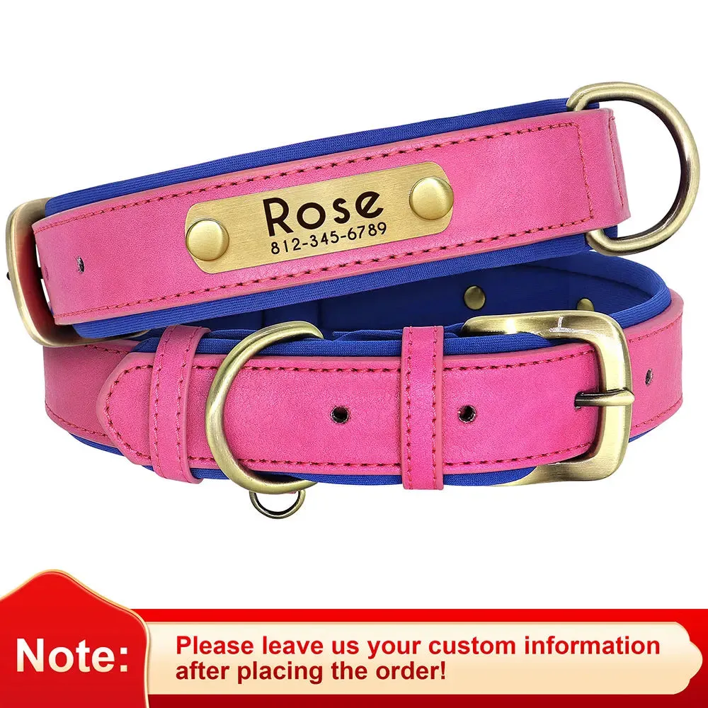 Custom Leather ID Nameplate Collar Soft Padded Comfort Adjustable with FREE Name Engraving Perfect for Small Medium Large Cats and Dogs