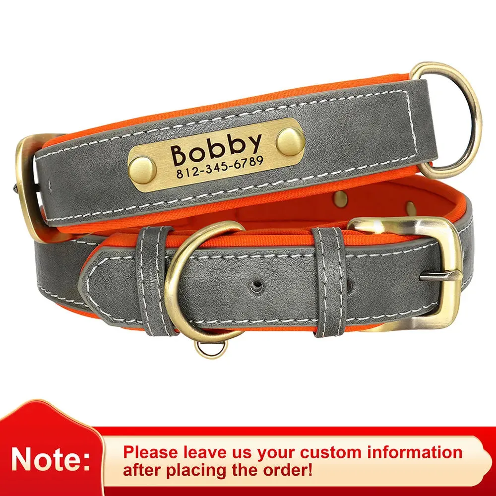 Custom Leather ID Nameplate Collar Soft Padded Comfort Adjustable with FREE Name Engraving Perfect for Small Medium Large Cats and Dogs