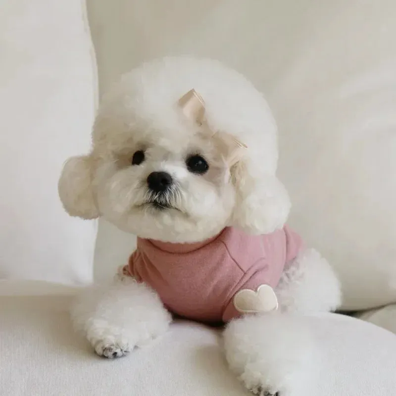 Cute Love Bear Hoodie for Pets - Warm Polyester Clothing for Dogs and Cats