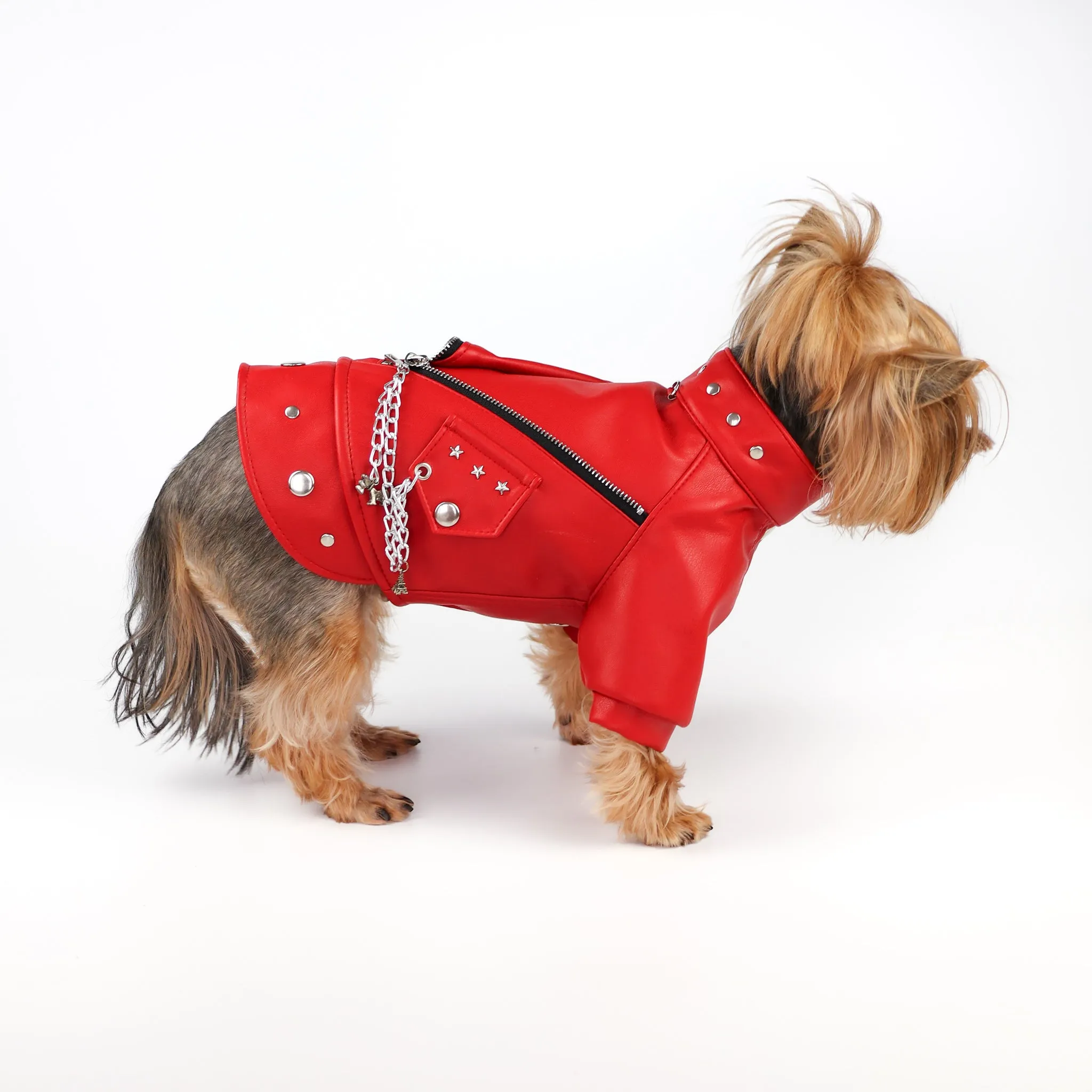 Designer Red Leather Dog  Jacket