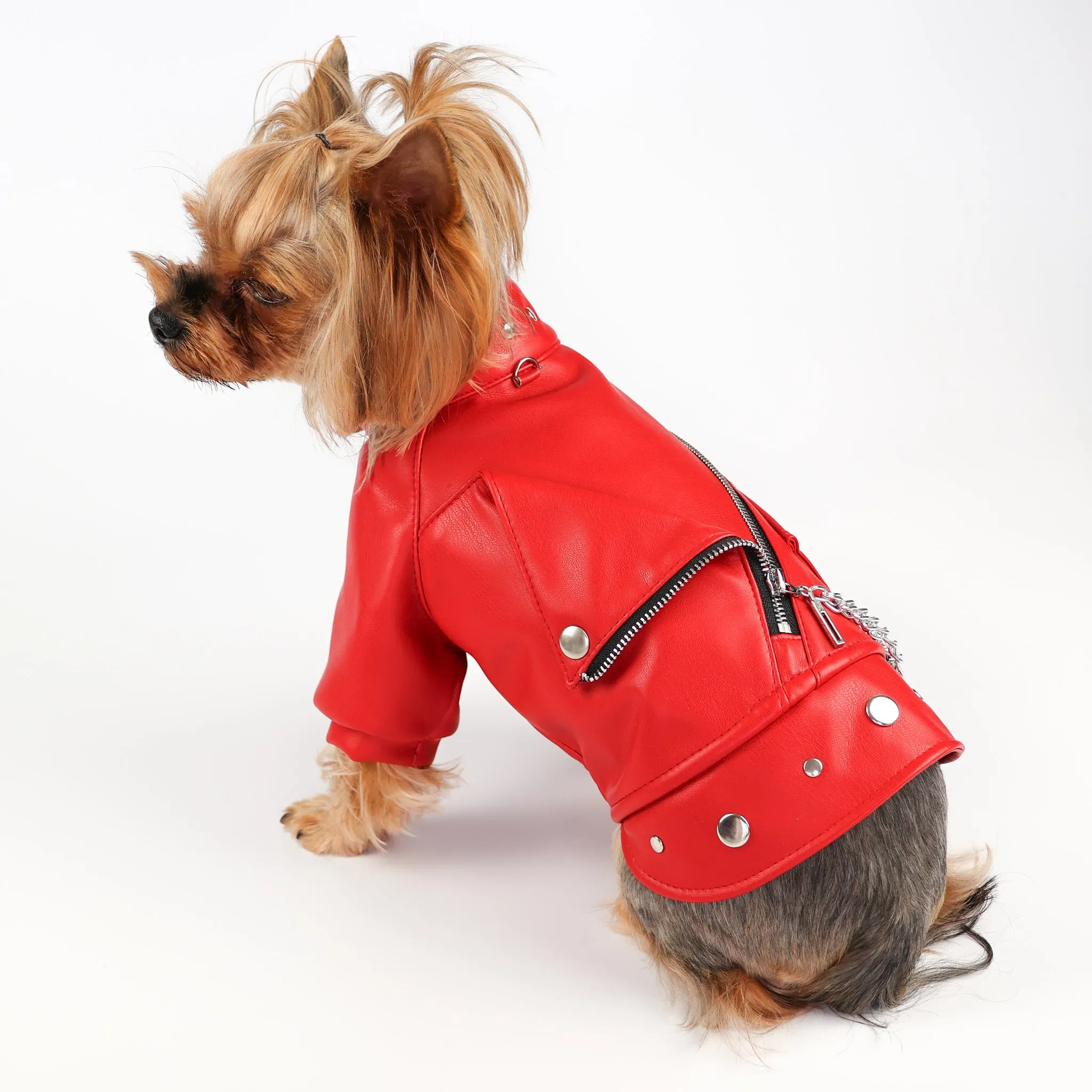 Designer Red Leather Dog  Jacket