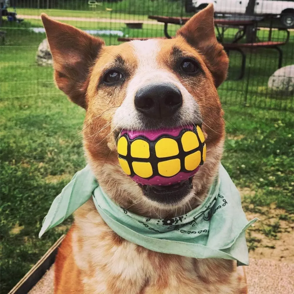 Dog Balls Toys Squeaky Fetch - Rubber Funny Ball Gifts for Large Medium Dogs (Variety Pack)