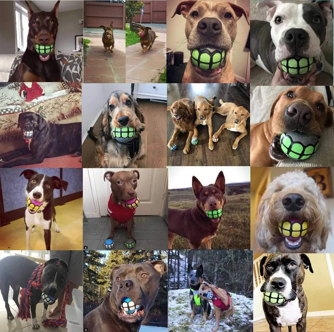 Dog Balls Toys Squeaky Fetch - Rubber Funny Ball Gifts for Large Medium Dogs (Variety Pack)