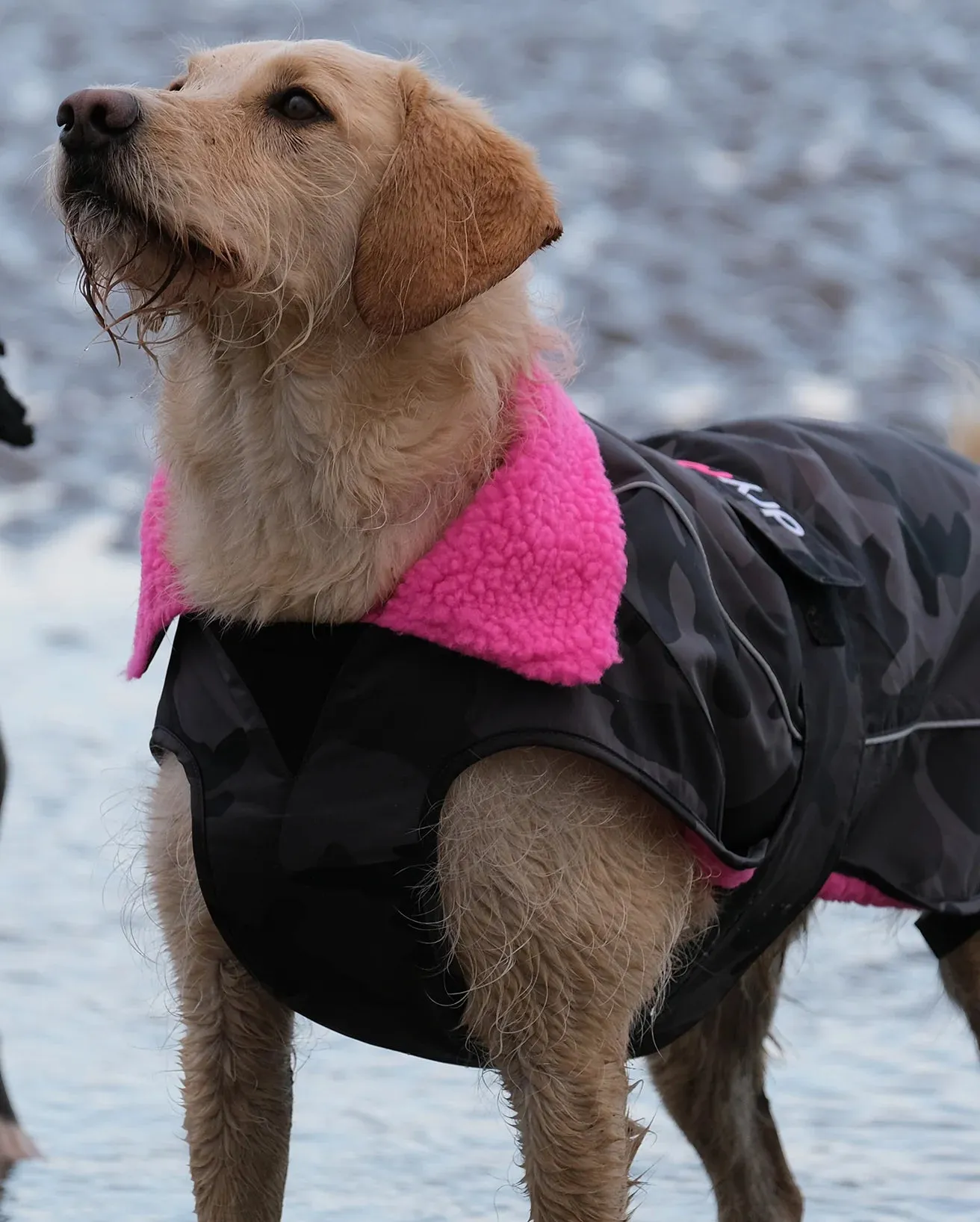 Dog Dryrobe in Black Camo & Pink