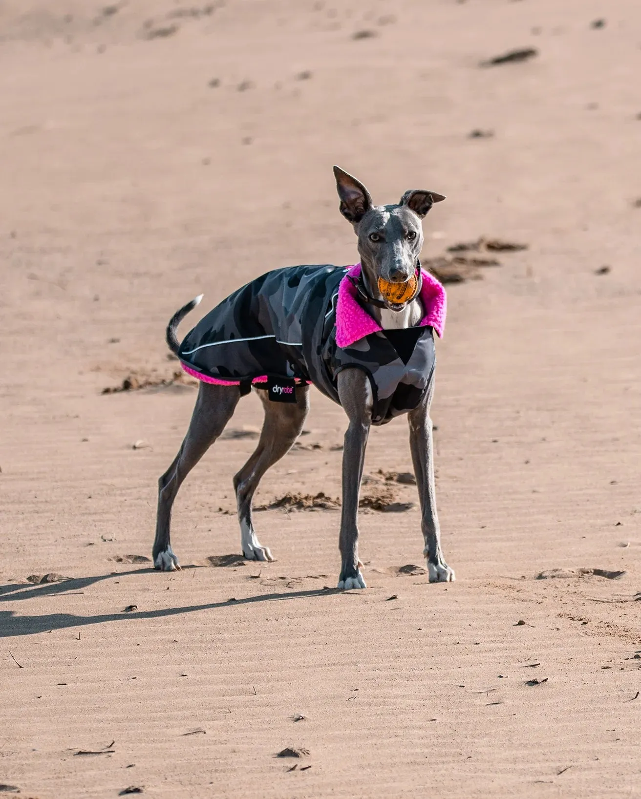 Dog Dryrobe in Black Camo & Pink