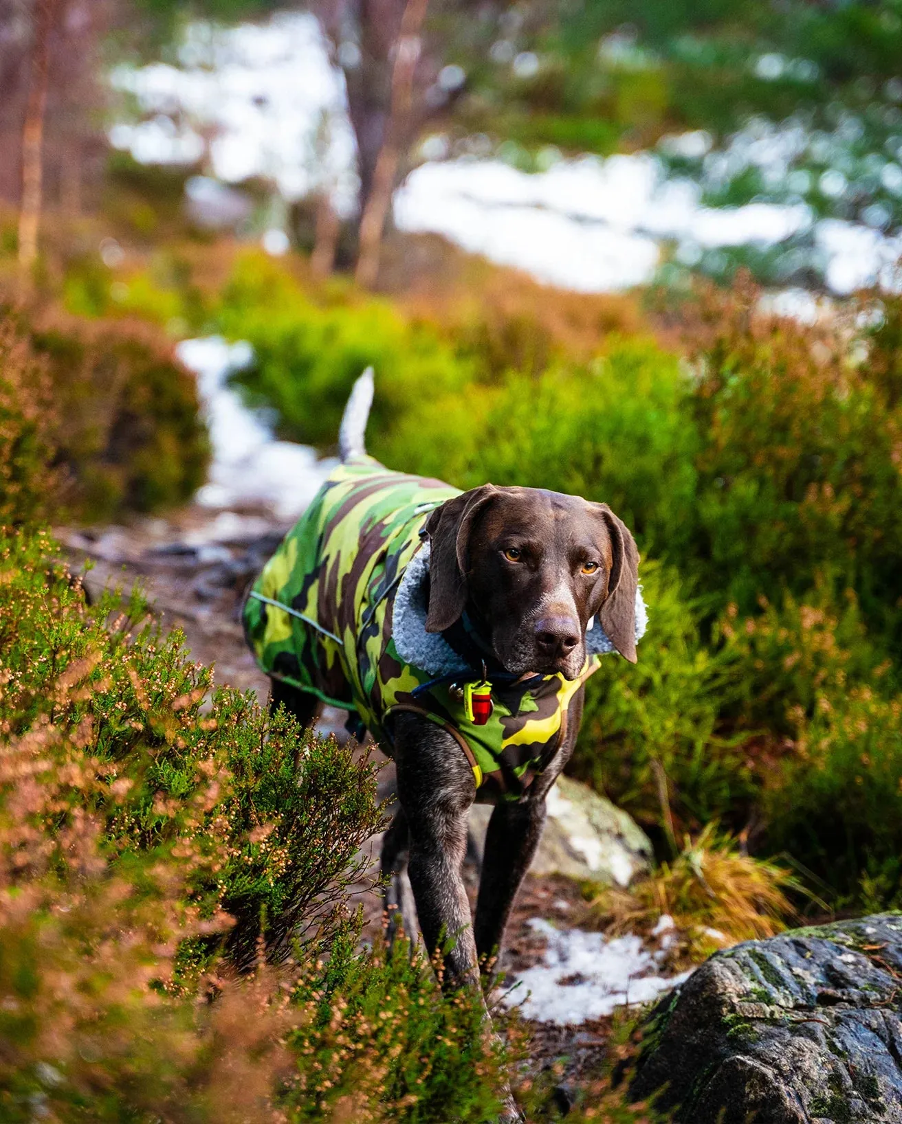 Dog Dryrobe in Camo & Grey