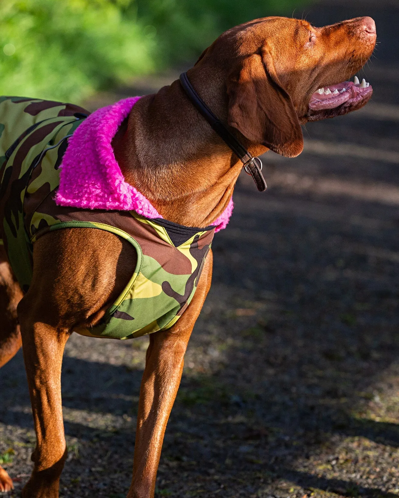 Dog Dryrobe in Camo & Pink