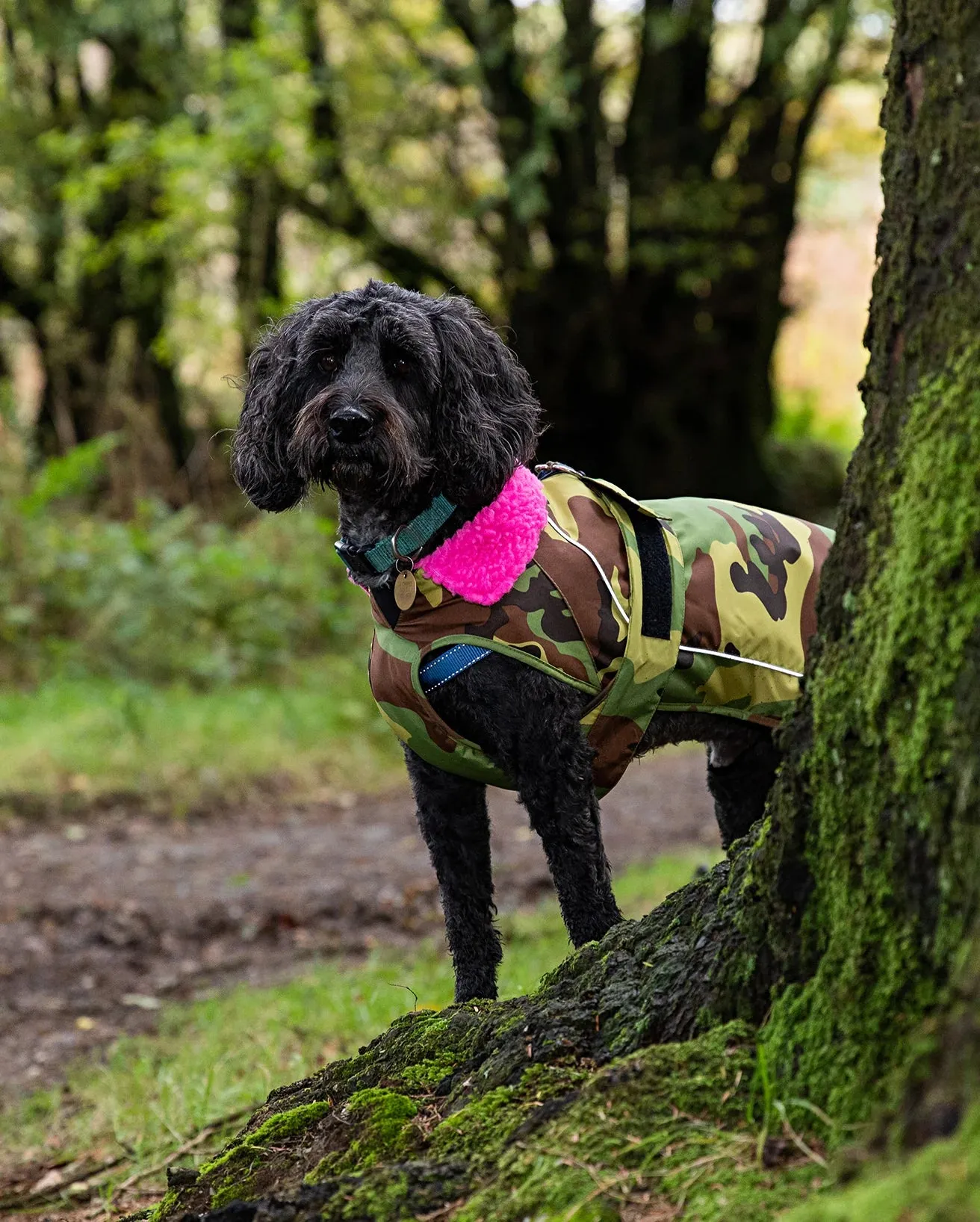 Dog Dryrobe in Camo & Pink
