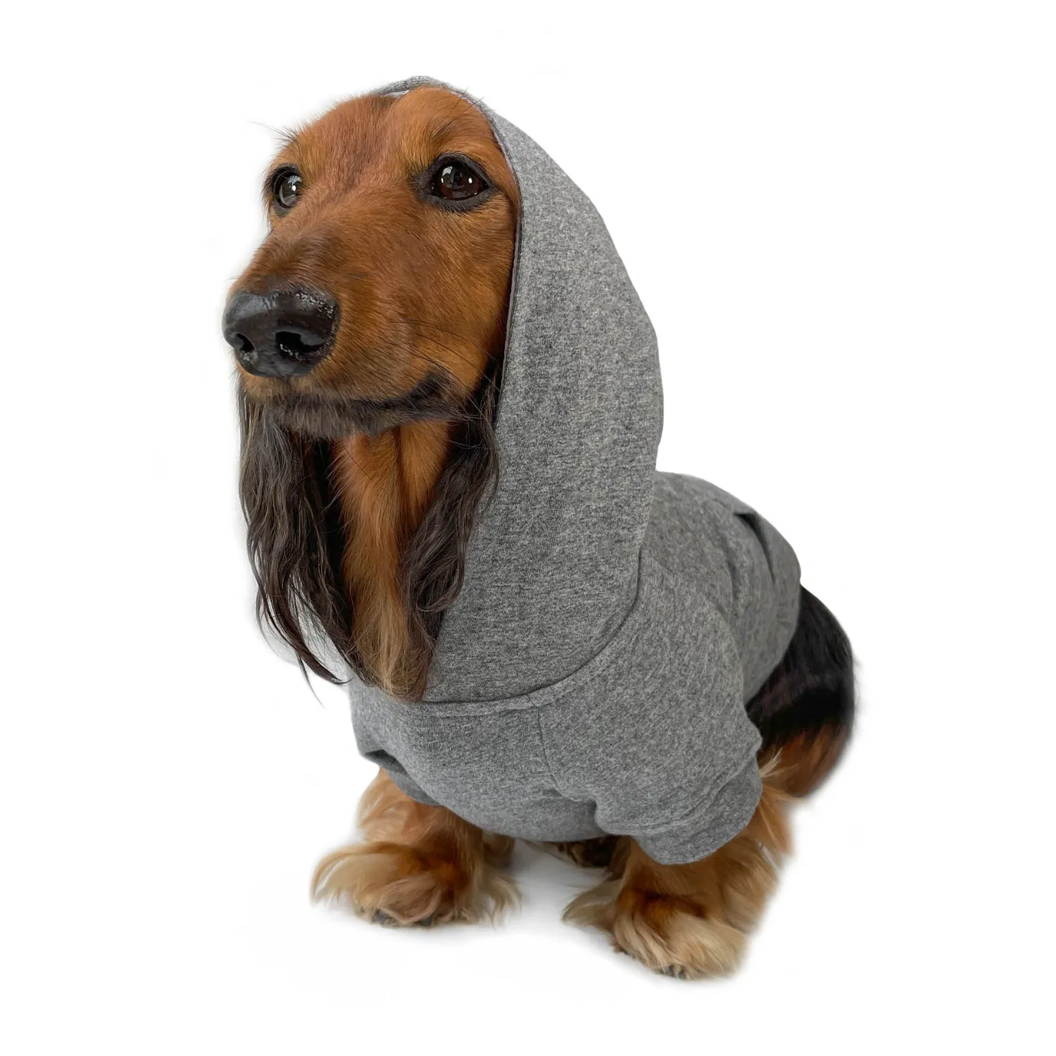 Dog Hoodie - Heather Gray