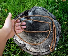 Dog Show Leash