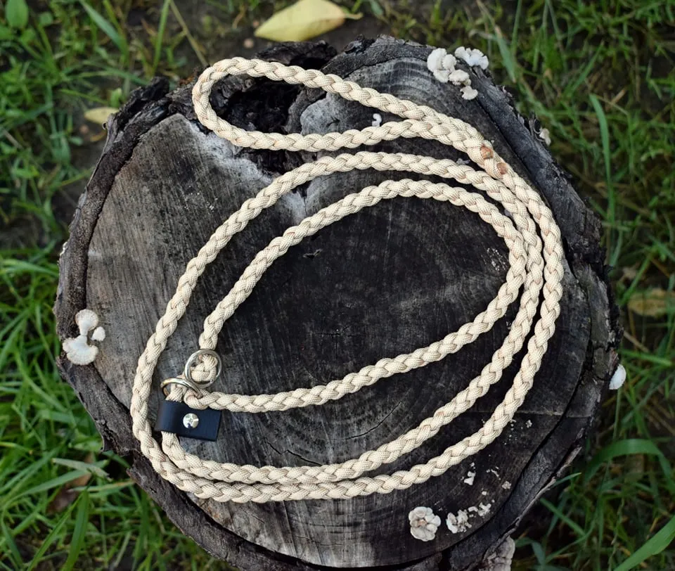 Dog Show Leash