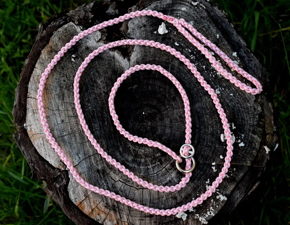 Dog Show Leash
