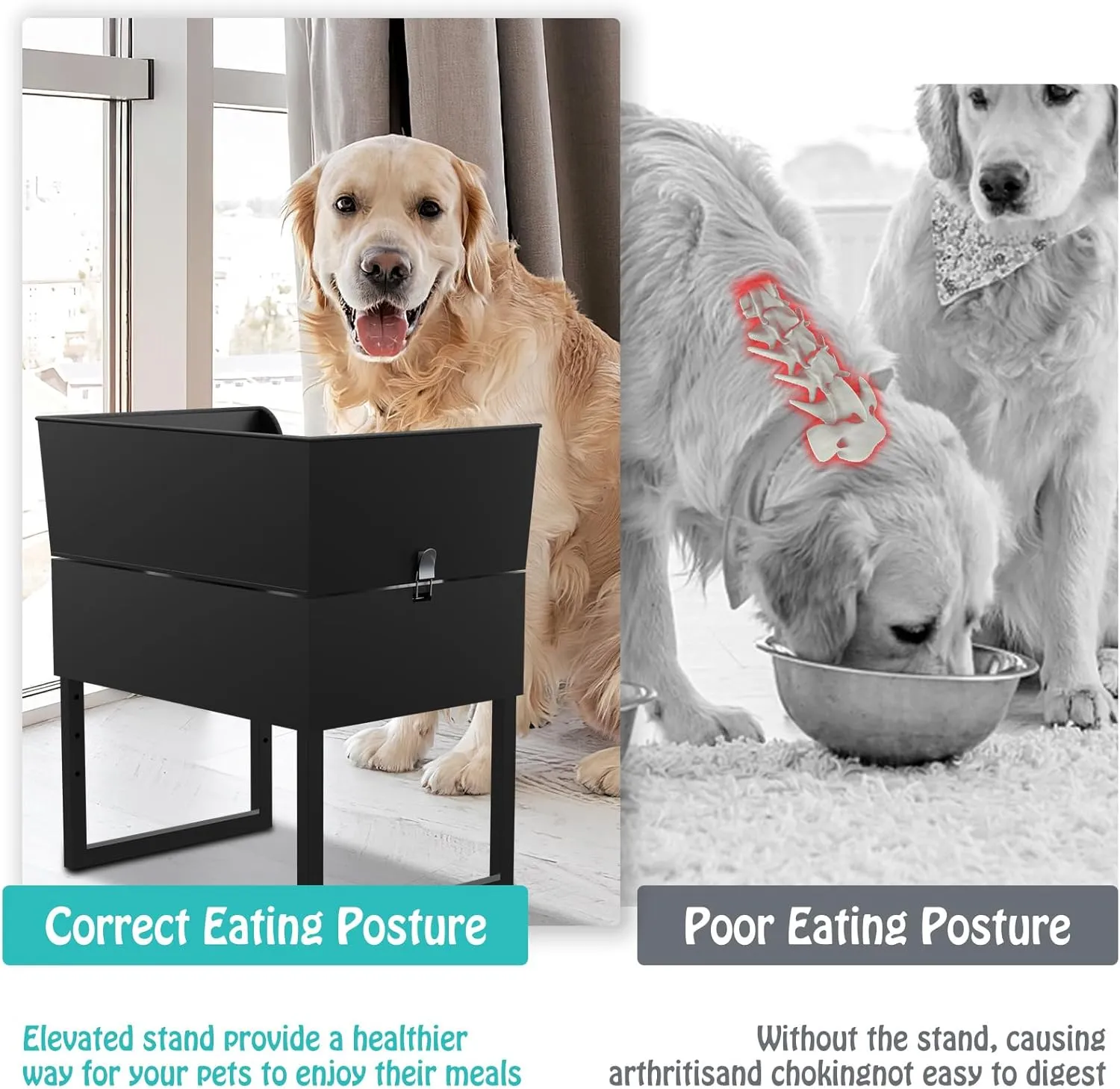 Elevated Dog Bowls Stand, Stainless Steel Raised Dog Bowls Adjustable with 2 Stainless Steel Food & Water Bowls for Small, Medium&Large Dog