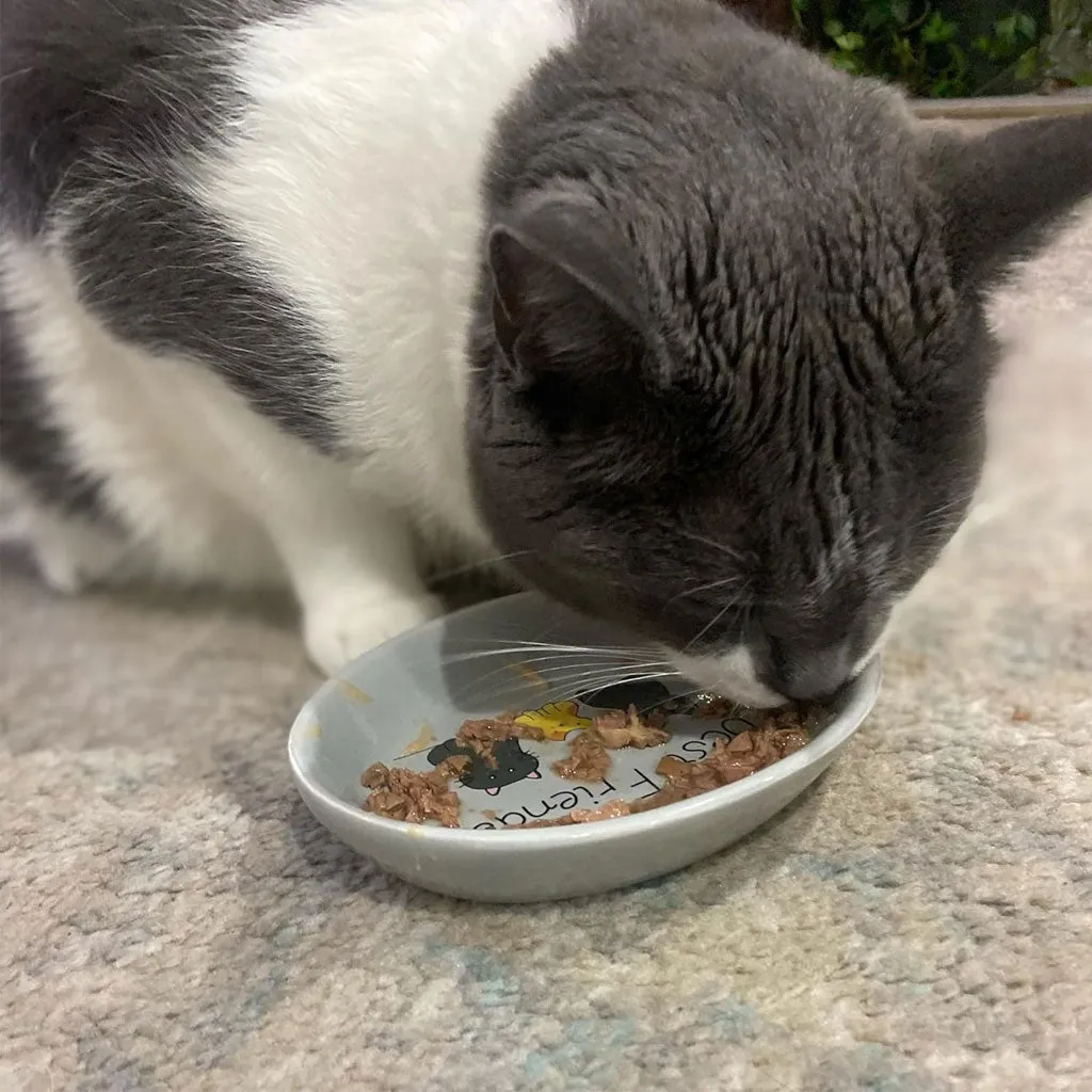 Ethical Pet Spot Best Friends Oval Cat Dish 6"