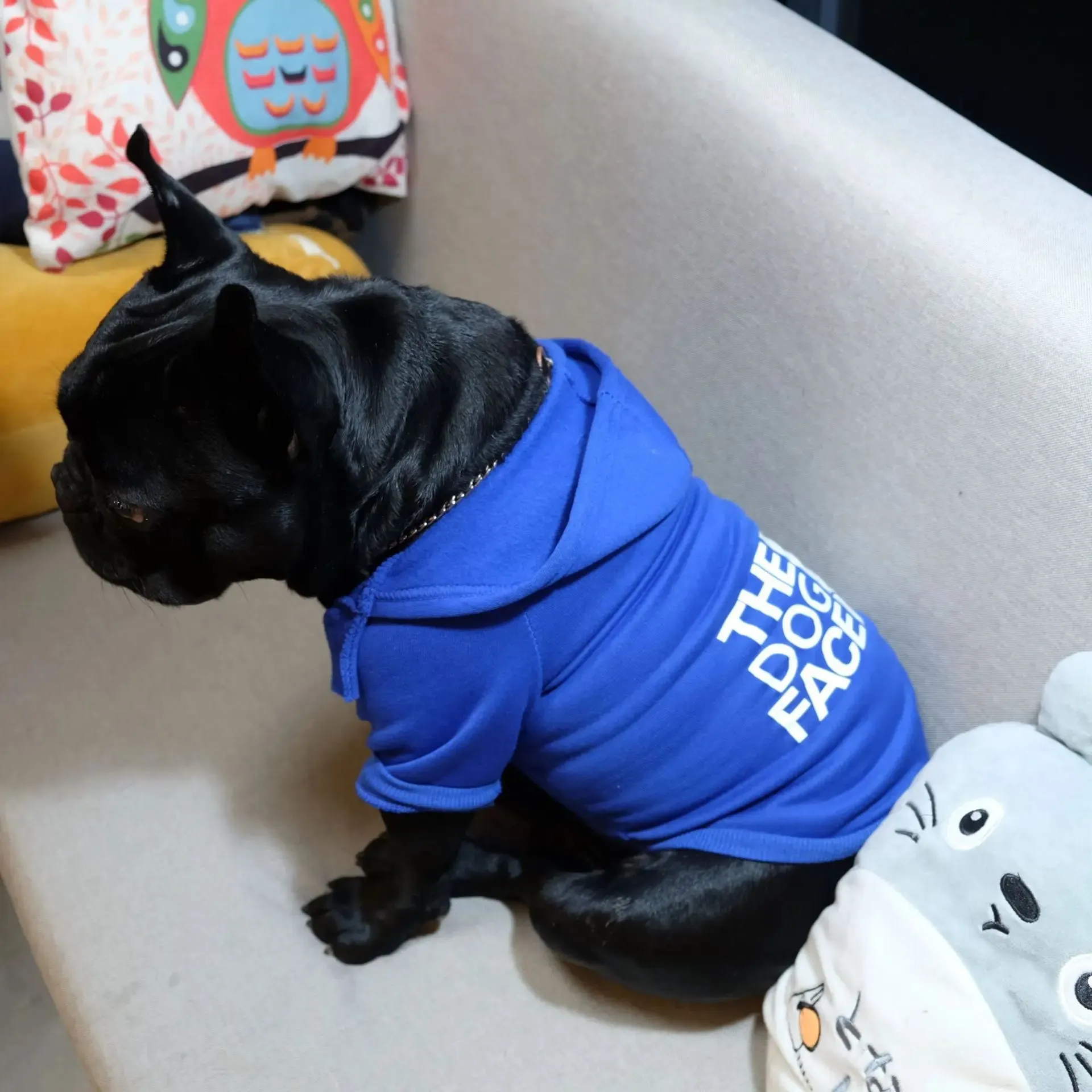 Fashion Dog Hoodie - Keep Your Pet Dog Warm and Stylish in Winter - Cotton Coat Jacket for Ropa Perro - Ideal French Bulldog Clothing and Pet Clothing for Dogs