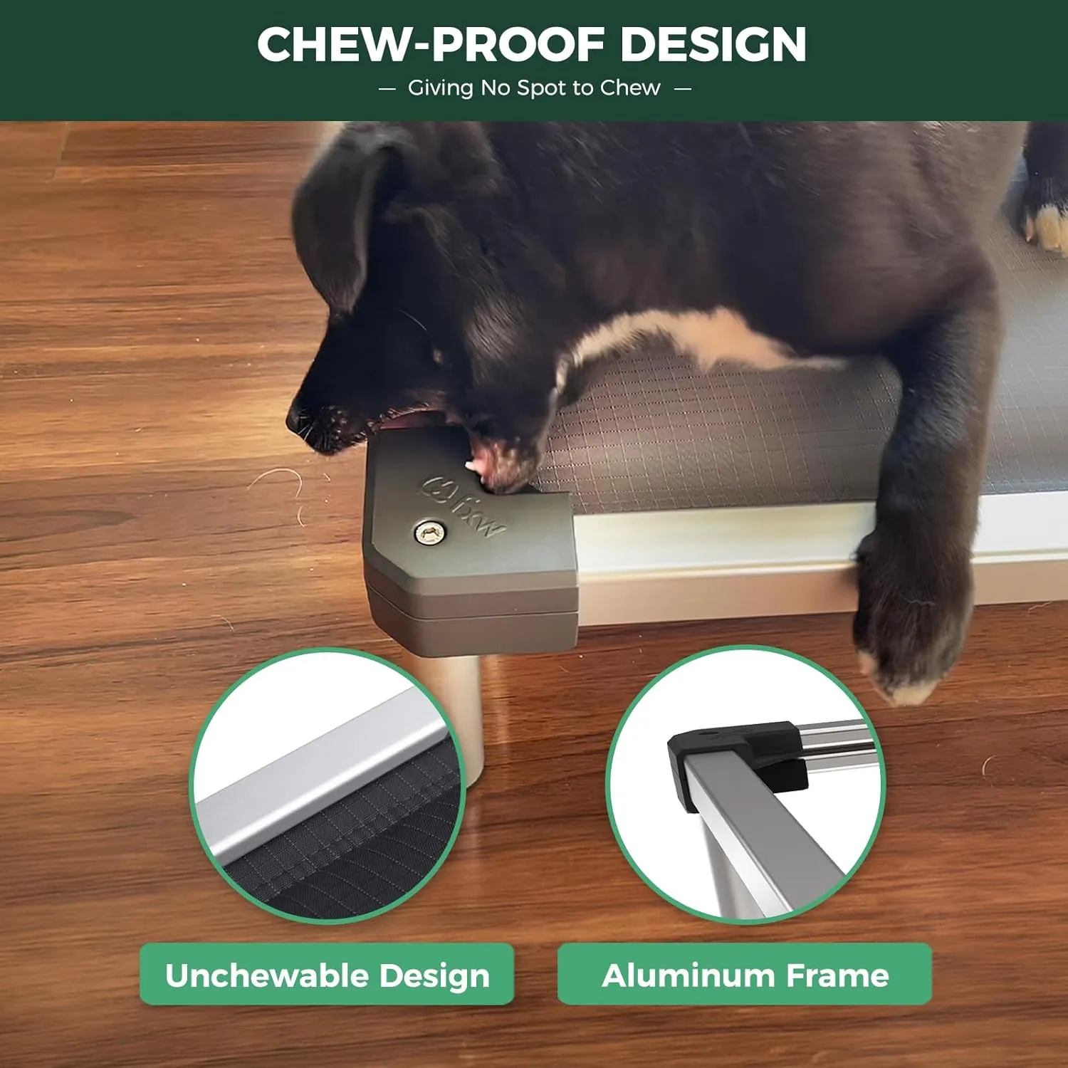 FXW TitanNest Chew-Proof Elevated Dog Bed, Padded Cot for Outdoor/Camping/Indoor Use, Durable & Washable Pet Bed for Small and Medium Dogs, 36-Inch, Grey