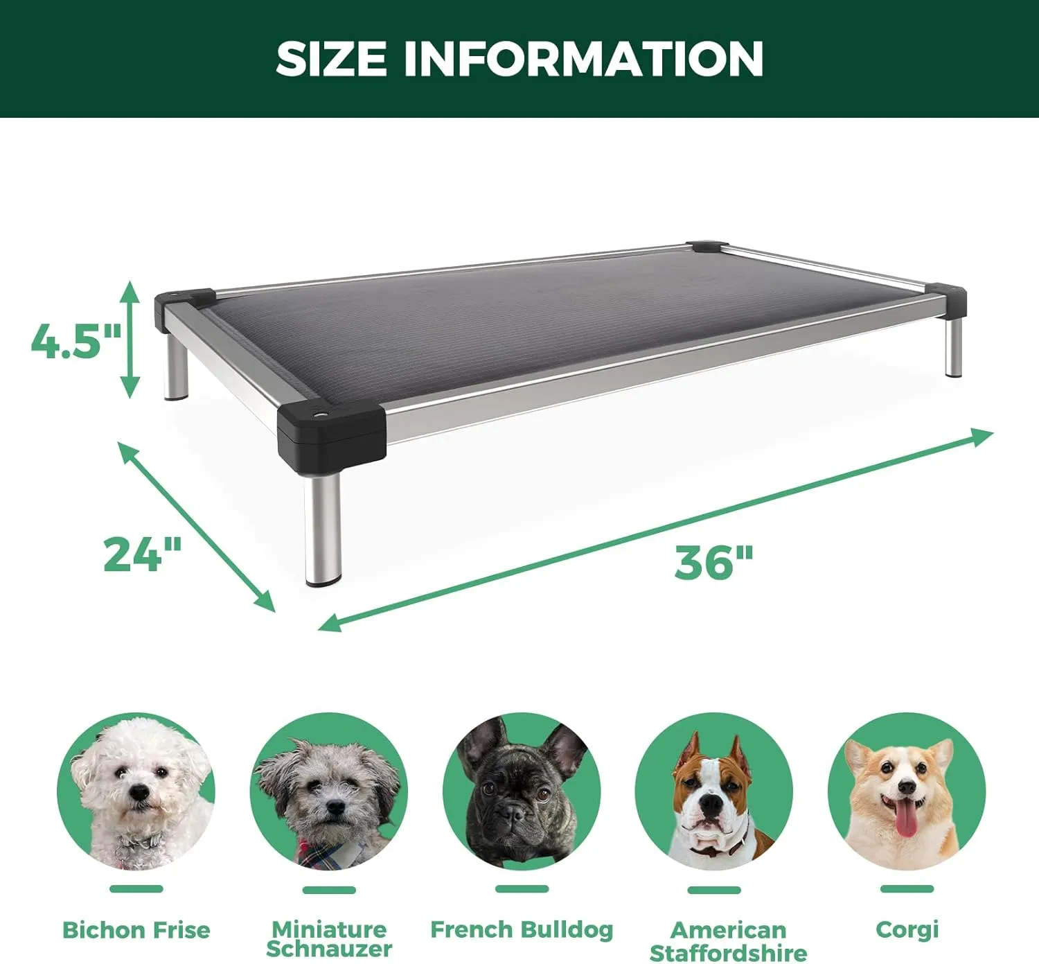 FXW TitanNest Chew-Proof Elevated Dog Bed, Padded Cot for Outdoor/Camping/Indoor Use, Durable & Washable Pet Bed for Small and Medium Dogs, 36-Inch, Grey