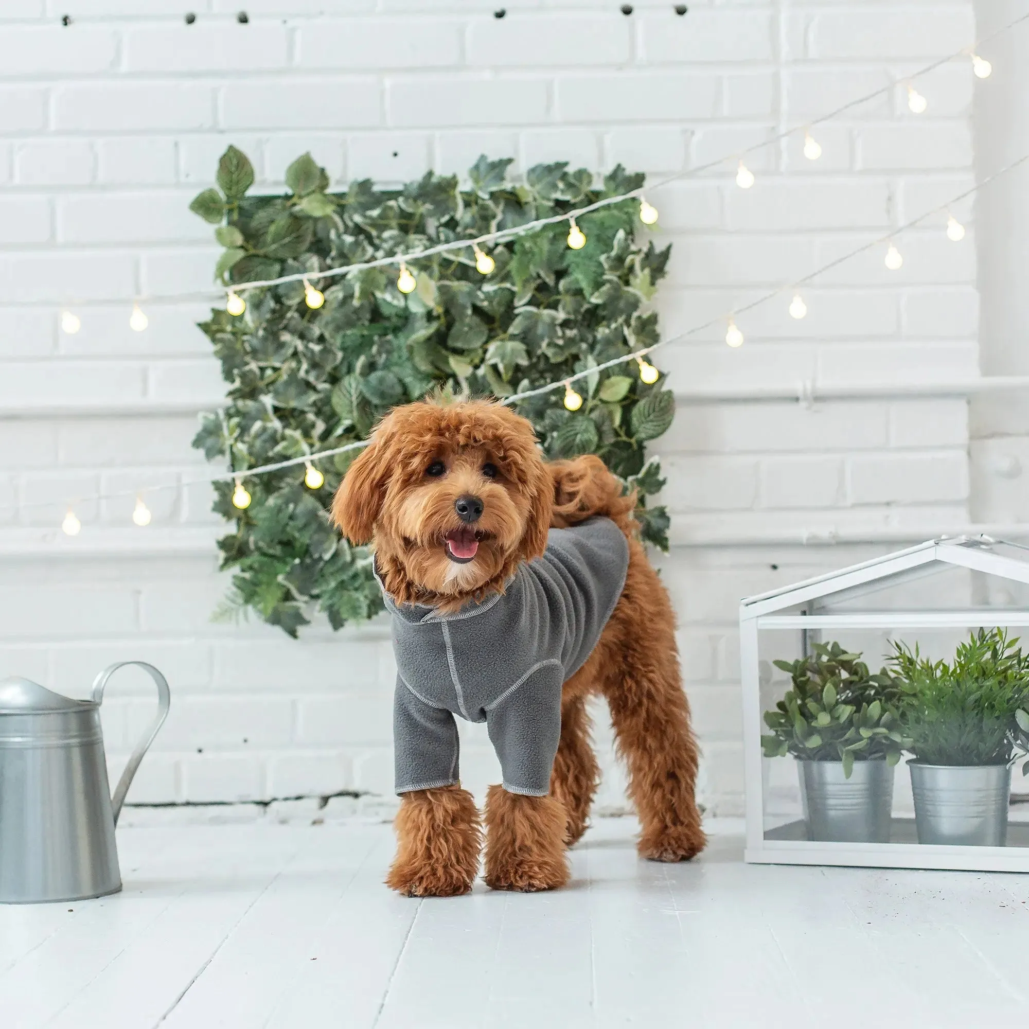 Gondola Base Layer for Dogs | Charcoal