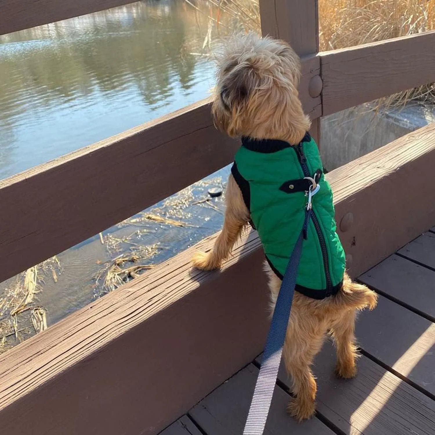Gooby Fashion Vest Dog Jacket - Green, Medium - Warm Zip Up Bomber Vest with Dual D Ring Leash - Winter Water Resistant Small Dog Sweater