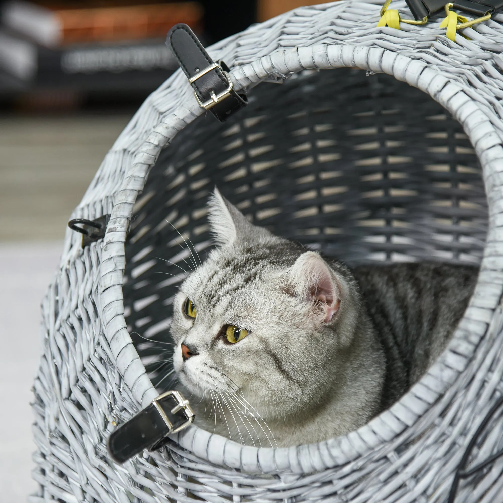 Grey Portable Pet Carrier Basket Bed 50L cm - Grey