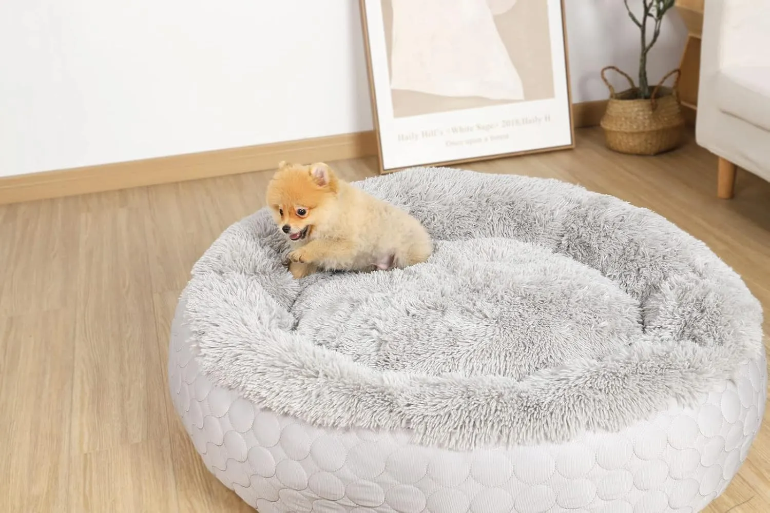 HACHIKITTY Dog Donut Round Calming Bed, Fluffy Dog Bed for Medium Large Dogs, Cooling Warming Soft Dog Cushion Bed, Double Sided Available Dog Bed with Warm & Cool Sides(36"x36"x12", Grey)