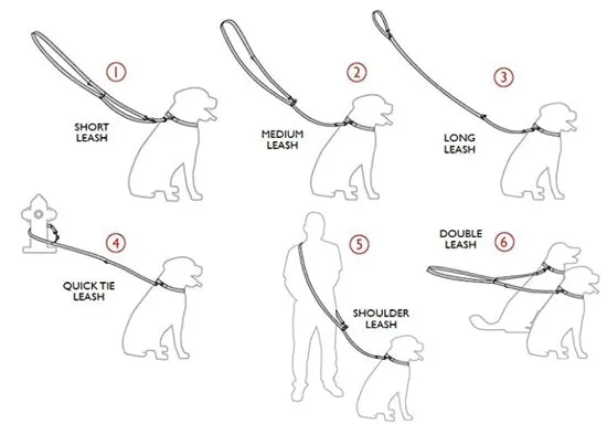 Hands Freee Fireplace Dog Leash