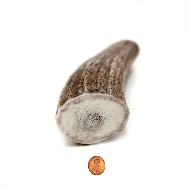 Hard Density Jumbo  Whole Antler Chew