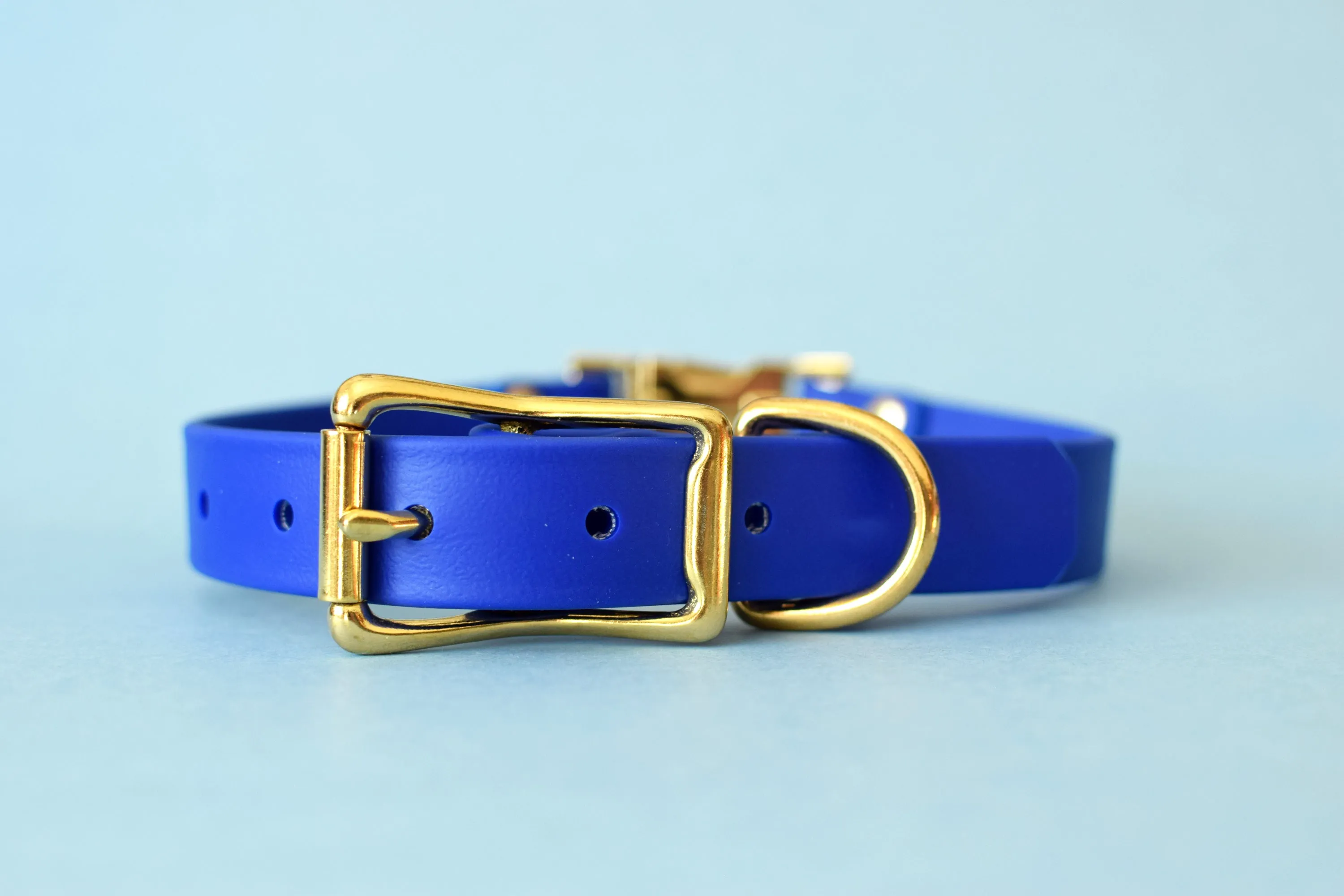 HARDWARE RETIREMENT SALE - Royal & Brass Biothane Dog Collar